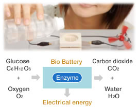 bio-bateria-SONY-esquema